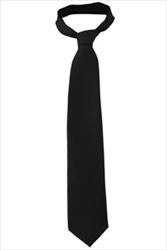 Mens Polyester Fully Lined Solid Color Tie