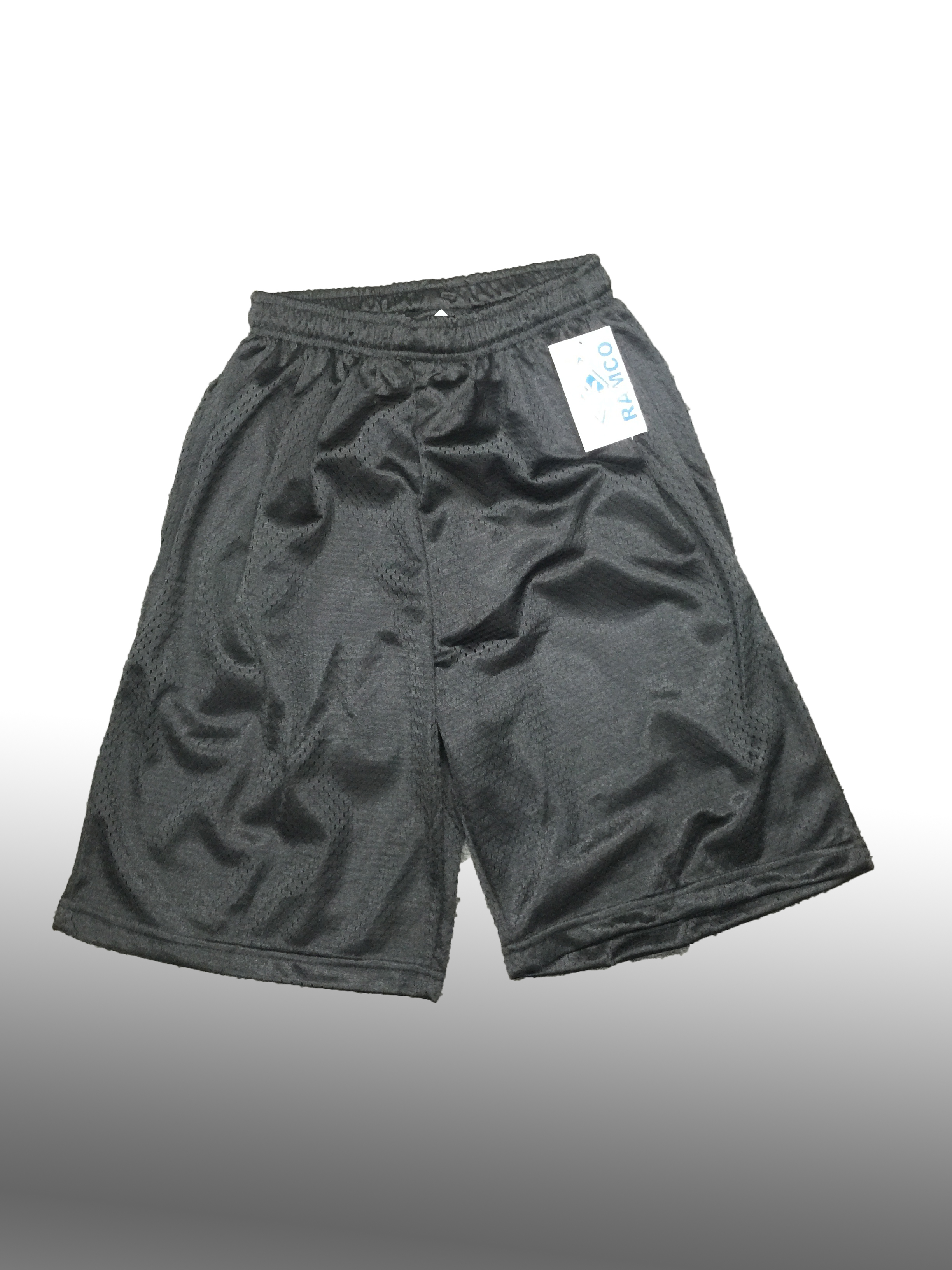 Pro Mesh Shorts